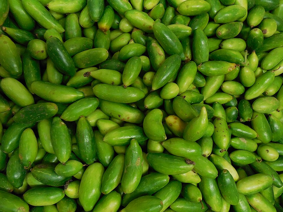 ivy-gourd