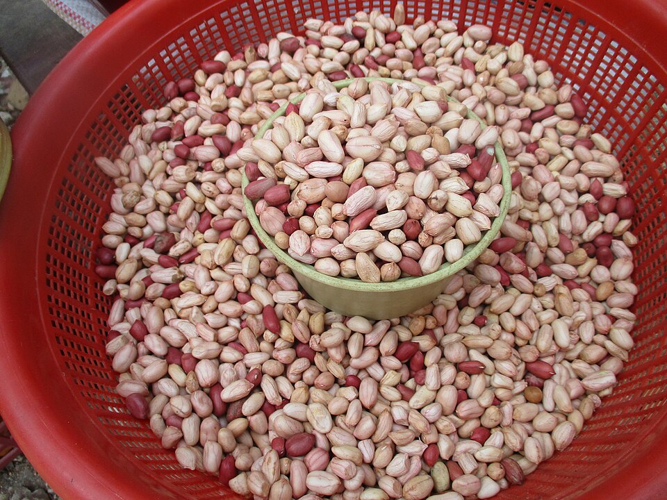 peanuts