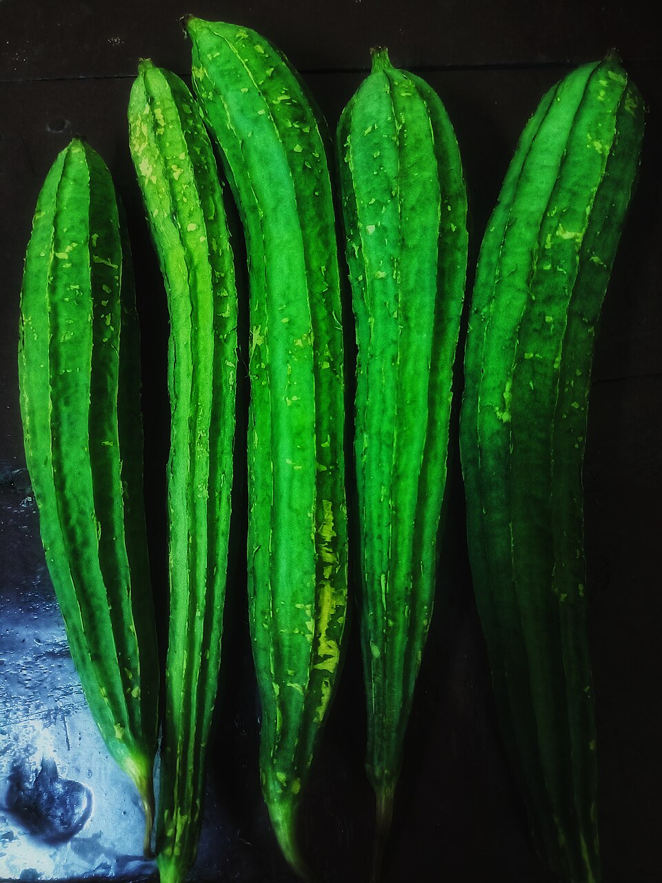 ridge-gourd