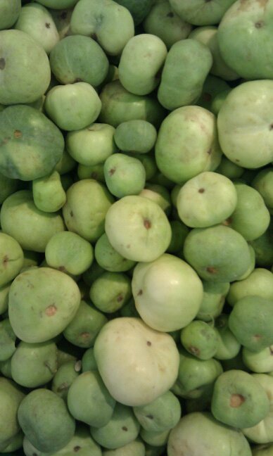 tinda